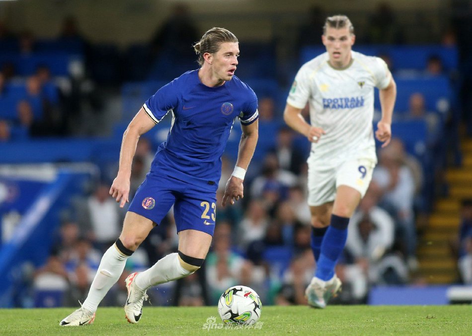 的潜力股 的潜力股